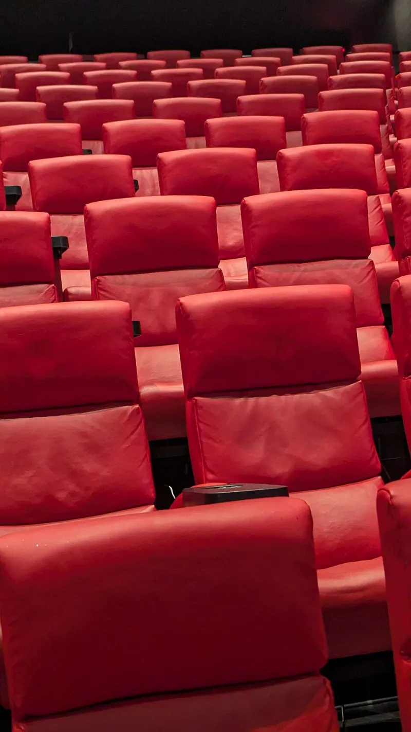 Big Fandom, Empty Seats: The Real Reason Tadano Movies Can't Win at the American Box Office